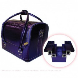 Beauty Tools Purple Case